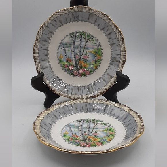 Royal Albert Bone China Set of 2 Silver Birch Saucer Plate  5.5" Made In England - Picture 6 of 10